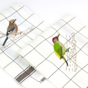 OISEAUX DU JARDIN - Torchon de Cuisine en Lin