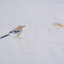 OISEAUX DU JARDIN - Nappe Ronde en Polylin
