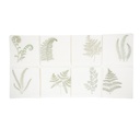 FERNS - 8 Table Napkins