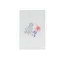 ATOLL FISHES - Linen Guest Towels